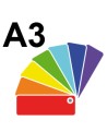 Colore A3